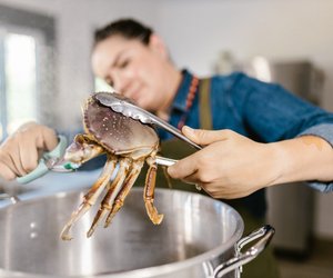 Krabben&#x20;und&#x20;Schwangerschaft&#x3A;&#x20;Darf&#x20;ich&#x20;sie&#x20;essen&#x3F;