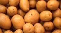 Kartoffeln waschen: Wie geht es am besten?