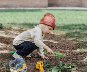 Wie entsteht Boden? Von Steinen und Sand bis Schlamm