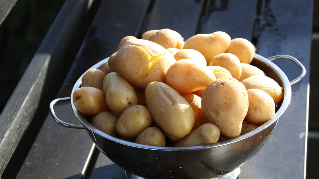 Aus Kartoffeln lassen sich viele leckere Speisen herstellen.