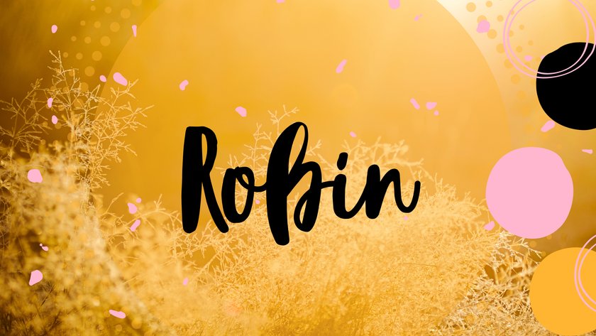 #19 Babynamen mit der Bedeutung „Sonne": Robin