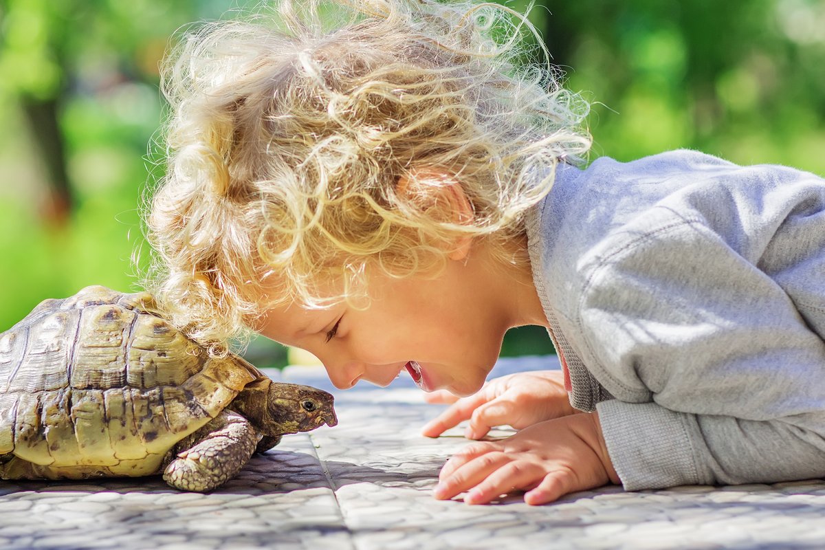 Exotische Haustiere Welche Tiere Geeignet Sind Familie De