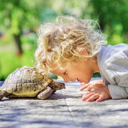 Tierisch exotisch: Warum Reptilien als Haustiere boomen und Affen im Wohnzimmer nichts verloren haben