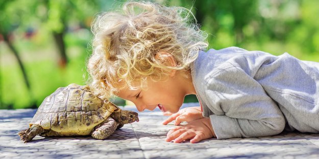 Tierisch exotisch: Warum Reptilien als Haustiere boomen und Affen im Wohnzimmer nichts verloren haben