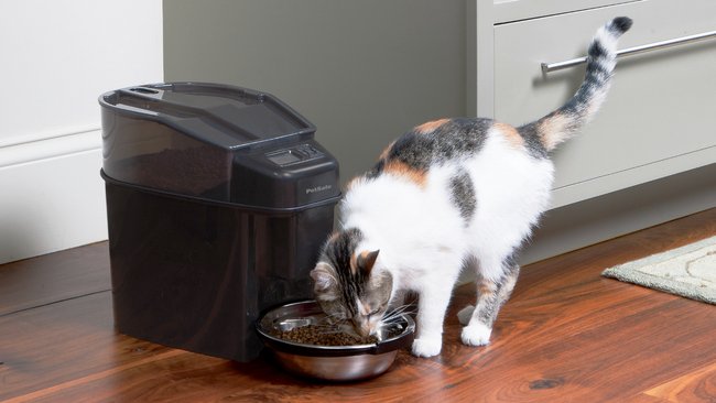 PetSafe Feeder