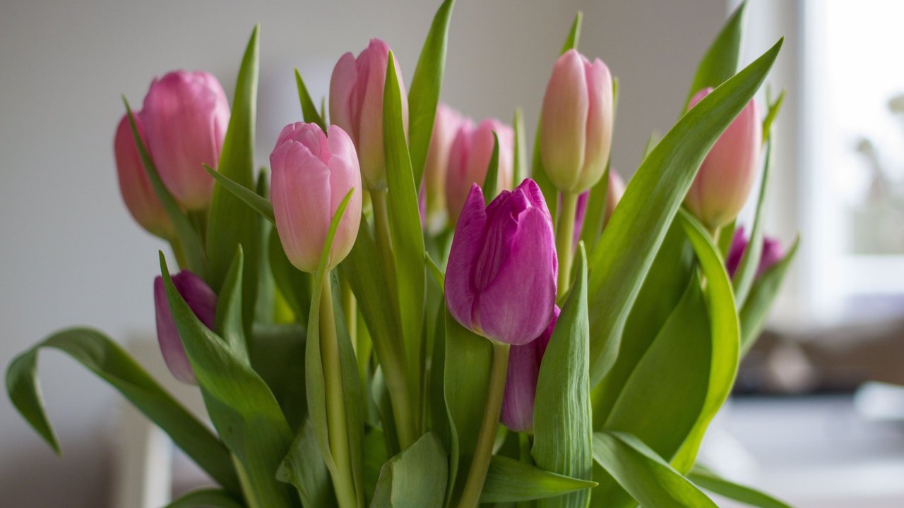 Du bist ein Blumenfan? Mit diesem DIY-Hack von Instagram werden deine IKEA-Teile zur trendigen Vase.