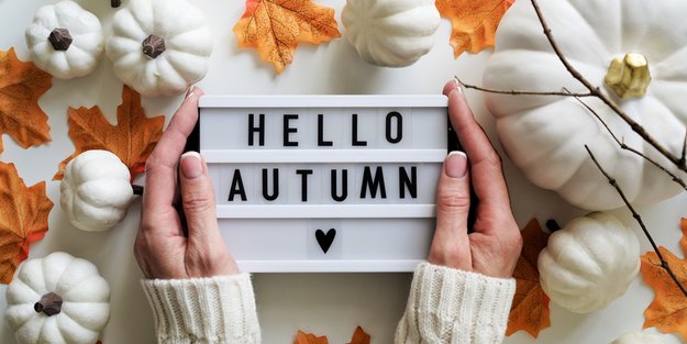 Für alle Herbst-Fans: Diese 13 Amazon-Produkte sind eure Must-haves in dieser Saison