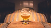 Wer hat das Bier erfunden? Wissen für Groß und Klein