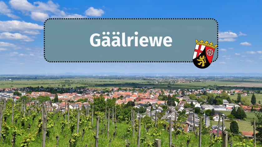 Gäälriewe