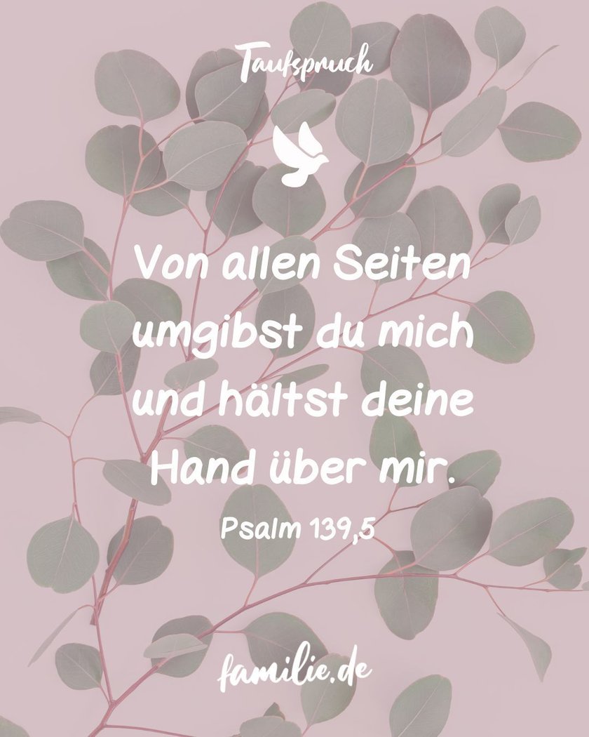 taufspruch evangelisch bibel