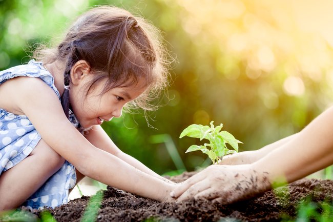 Gärtnern mit Kindern - Mädchen pflanzt Gemüse
