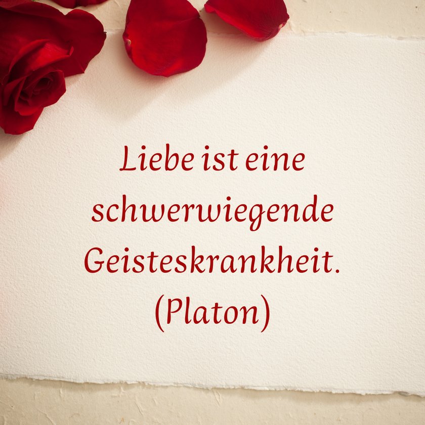 Liebeszitate - Platon
