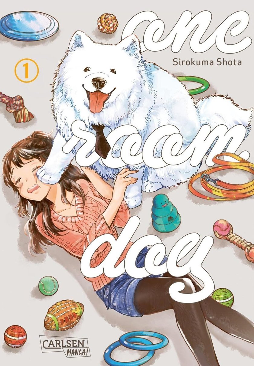 Comic für Kids: One room dog