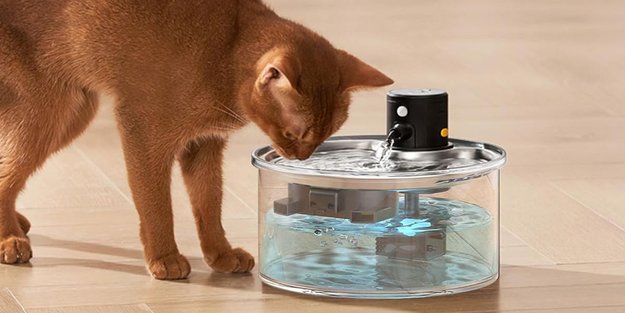 Getestet: Das sind die 5 besten Katzenbrunnen für eure Samtpfoten