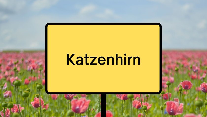 #20 lustige Ortsnamen: Katzenhirn