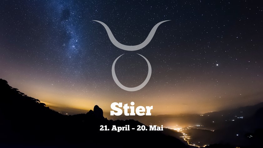 Stier