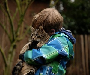 Warum schnurren Katzen? So machen sie das Geräusch