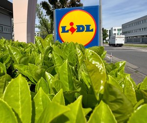 Stabil und praktisch: DIY-Fans greifen zur Aluminium-Arbeitsplattform von Lidl