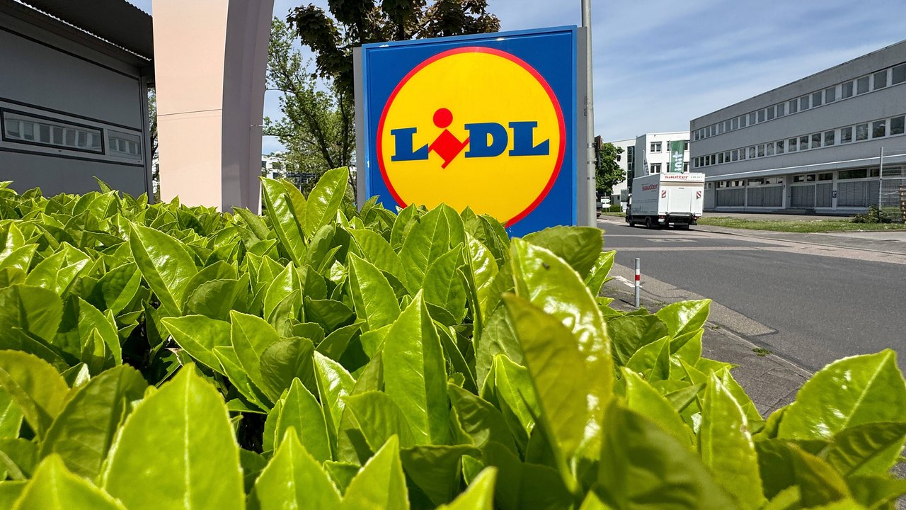 Für DIY-Fans hat Lidl aktuell eine stabile und sichere Arbeitsplattform im Sortiment.