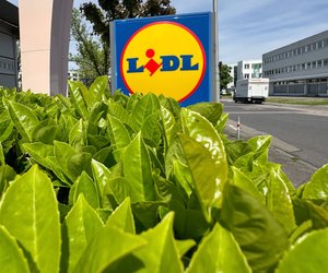 DIY-Fans schnappen sich diese Aluminium Arbeitsplattform von Lidl