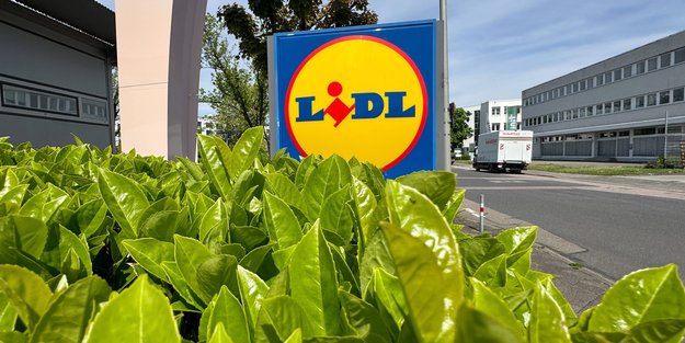 Stabil und praktisch: DIY-Fans greifen zur Aluminium-Arbeitsplattform von Lidl