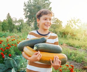 Zucchini haltbar machen: So hast du lange was vom Gemüse