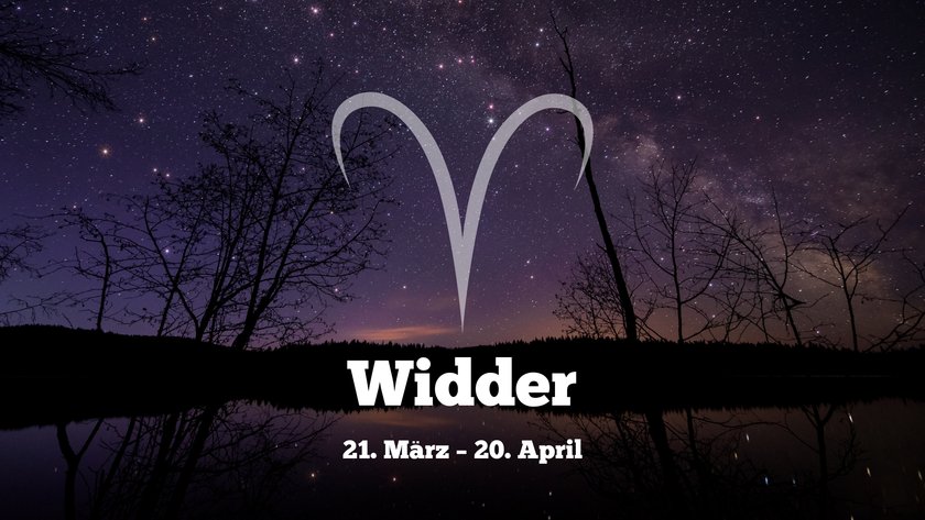 Widder