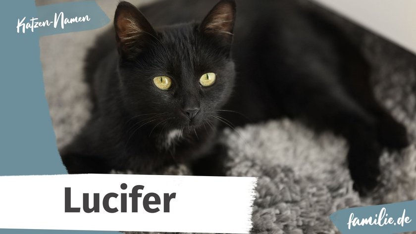 Schwarze Katze Namen: Lucifer