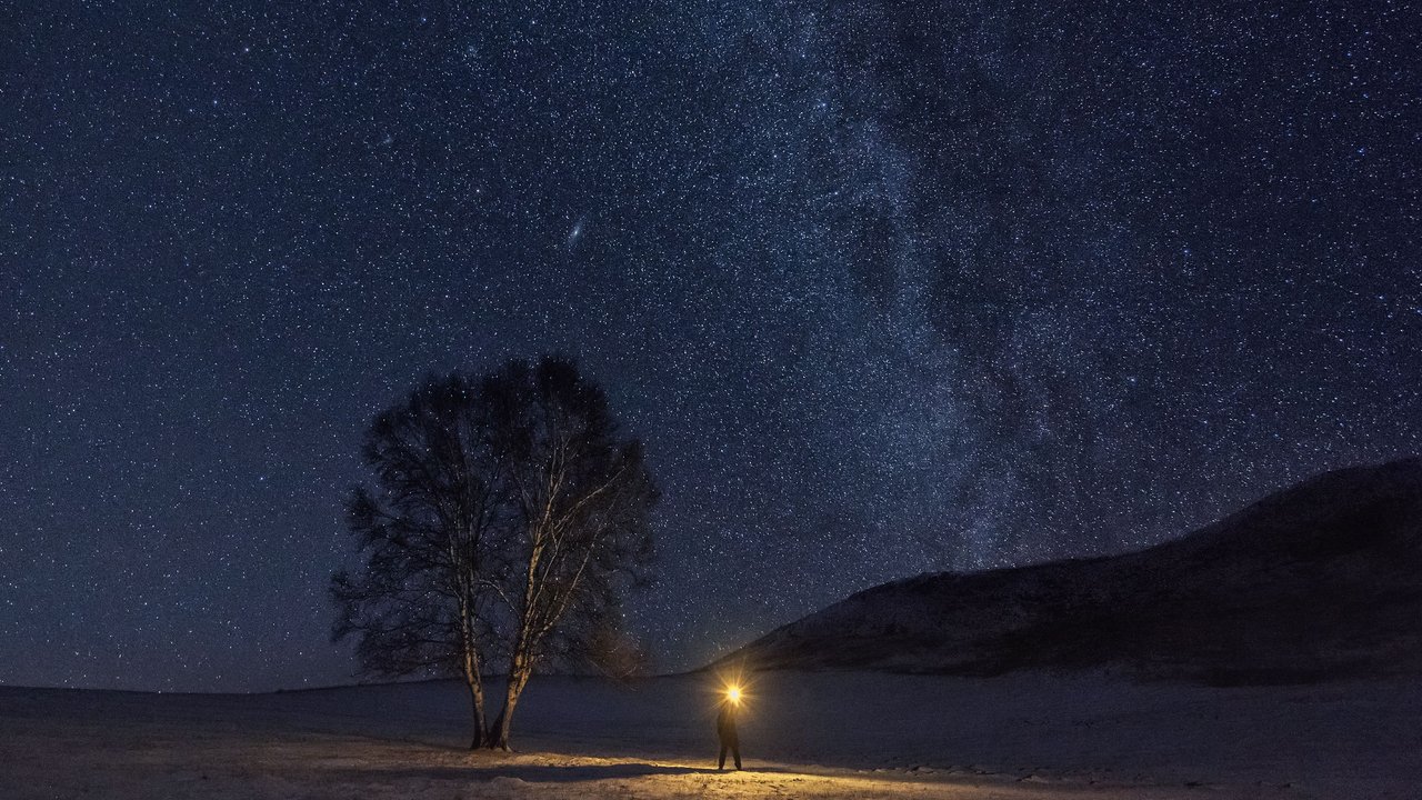 Mensch mit Laterne und großer Baum vor dem klaren Sternenhimmel