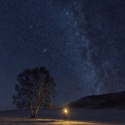 Tageshoroskop für den 10. Februar 2025: Dieses Sternzeichen sollte heute die Karriere priorisieren