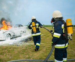 Berufe mit F: Wie viele fallen dir ein?