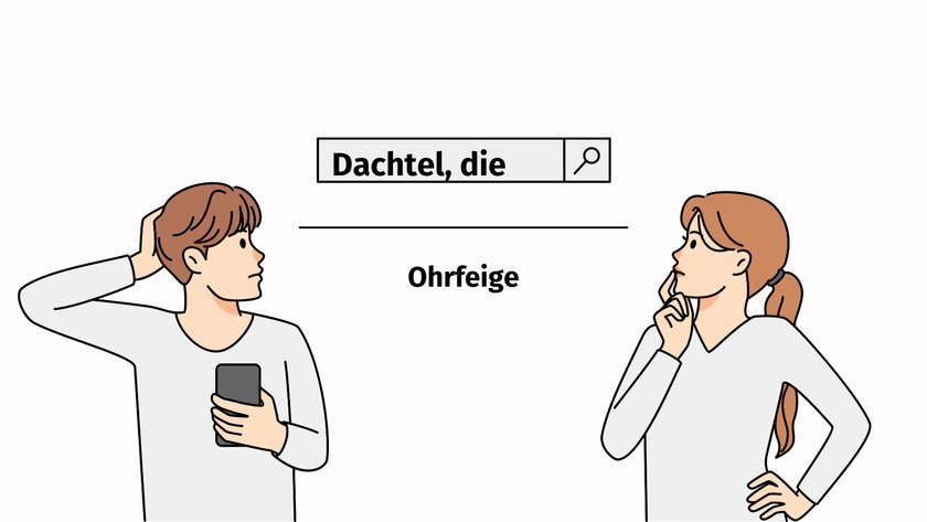 Dachtel, die