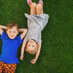 Rasensamen-Test: Dieses Saatgut für euren Garten überzeugt Stiftung Warentest