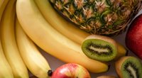 Was bedeutet Bio? Wir erklären den Begriff für Kinder