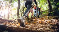 Wanderstöcke-Test: Diese 3 Modelle konnten bei Stiftung Warentest überzeugen