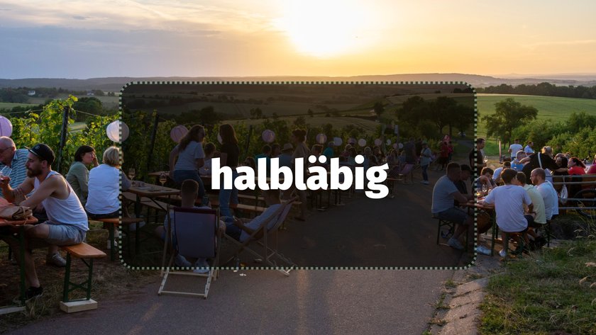 halbläbig