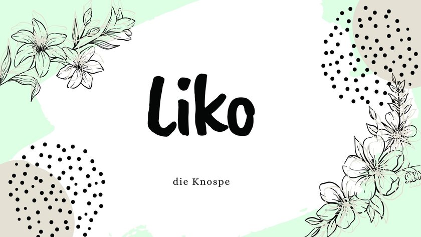Namen mit der Bedeutung „Blume”: Liko