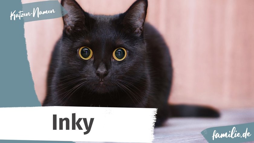 Schwarze Katze Namen: Inky