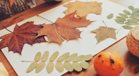 Basteln mit Blättern: 7 genial einfache DIY-Ideen für Deko aus Laub