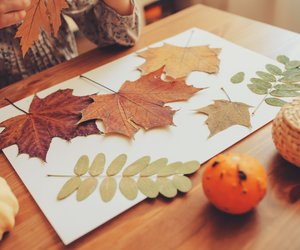 Basteln mit Blättern: 7 zauberhafte Herbst-Deko-Ideen
