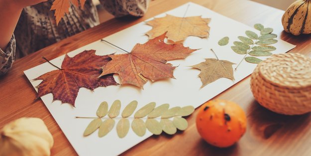Basteln mit Herbstblättern: 7 zauberhafte Deko-Ideen