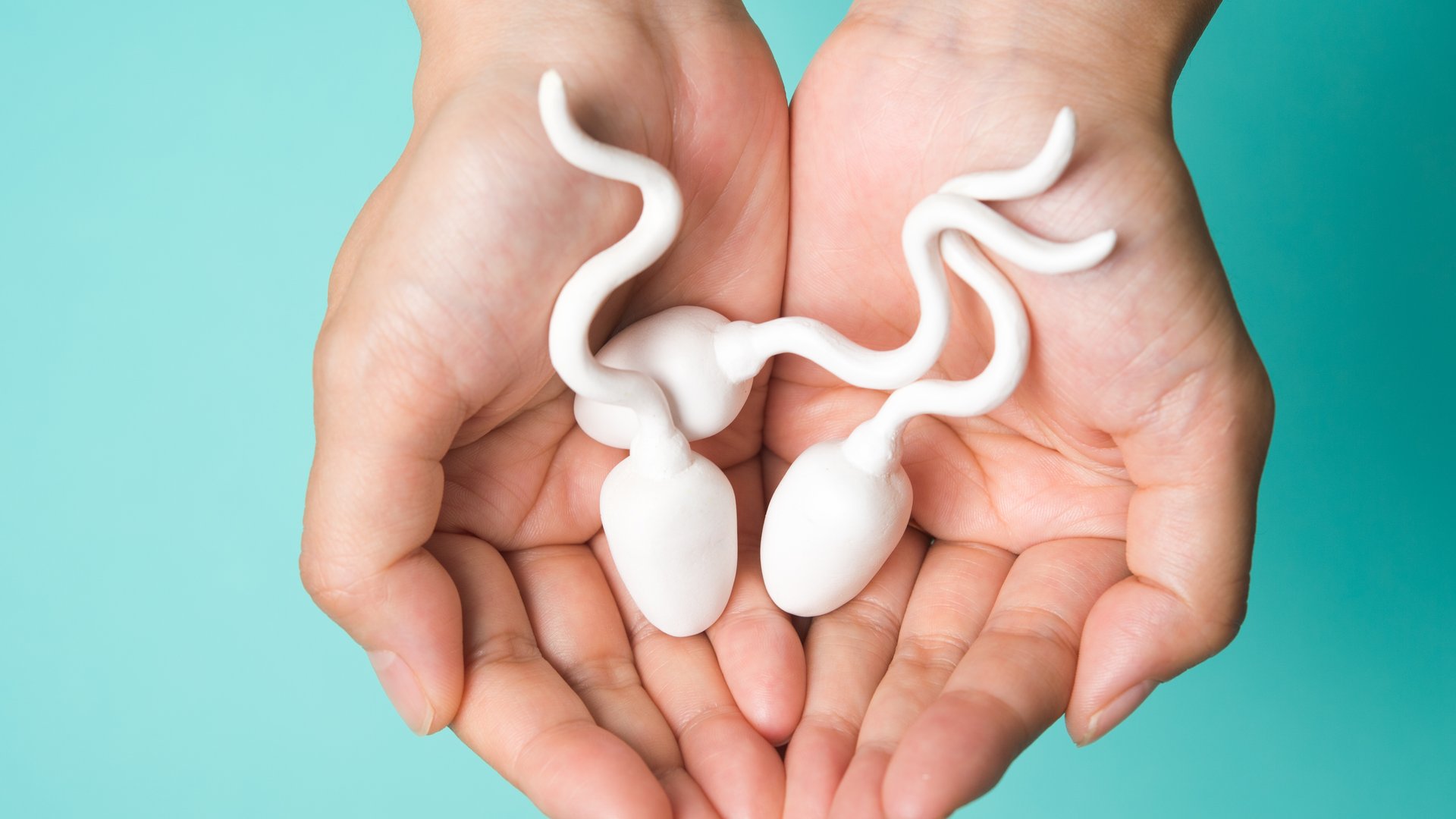 Selber machen sperma künstliches Fruchtbarkeitstest für