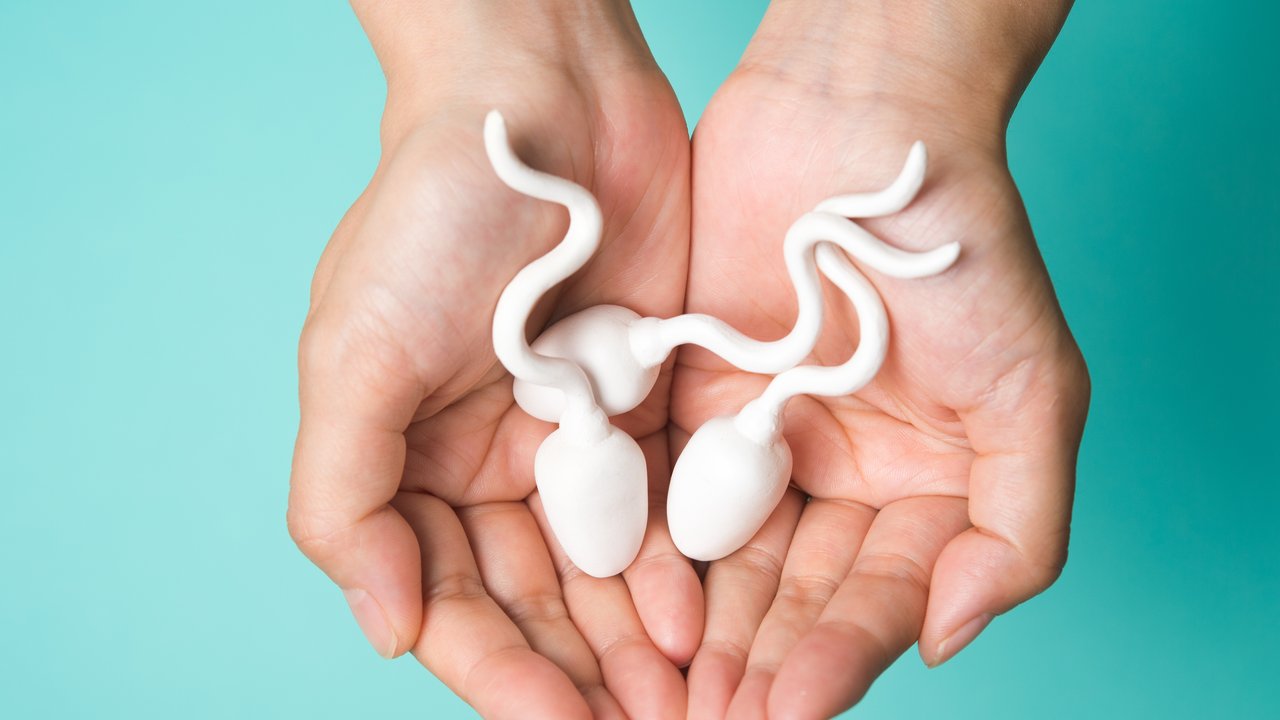 mehr sperma spermienqualität verbessern