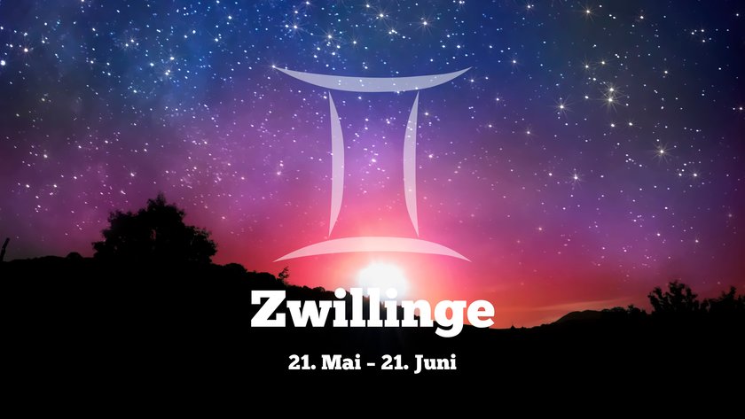 Zwillinge