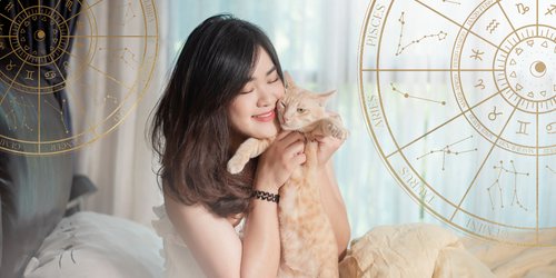 Astro-Liebe auf Samtpfoten: Die ideale Katzenrasse für dein Sternzeichen
