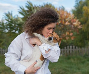 Unsere Fellnasen: Wie alt werden Jack Russel Terrier?
