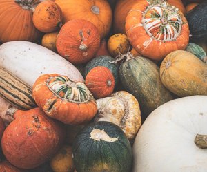 Wenn, dann richtig: Mit diesen simplen 5 Tricks frierst du Kürbis richtig ein