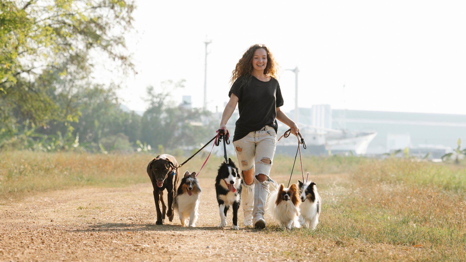 Wie oft muss ein Hund raus? So häufig solltest du Gassi gehen