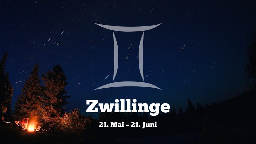 Zwillinge