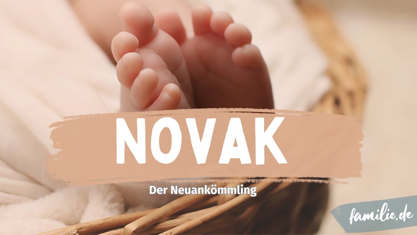 Novak